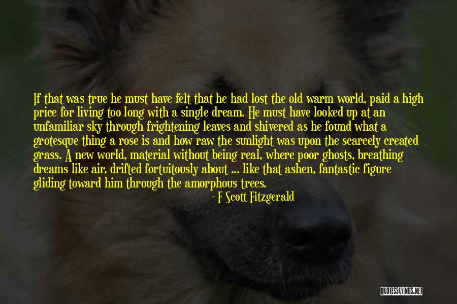 About Dreams Quotes By F Scott Fitzgerald