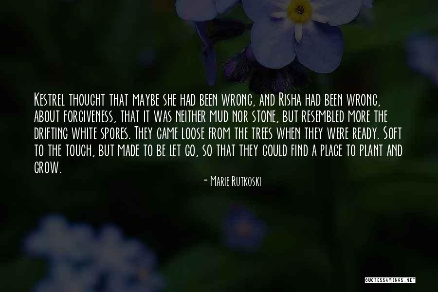 About Forgiveness Quotes By Marie Rutkoski About Forgiveness Quotes By Marie Rutkoski