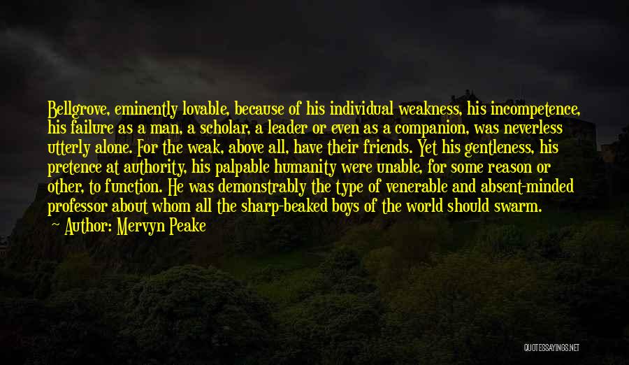 About Friendship Quotes By Mervyn Peake