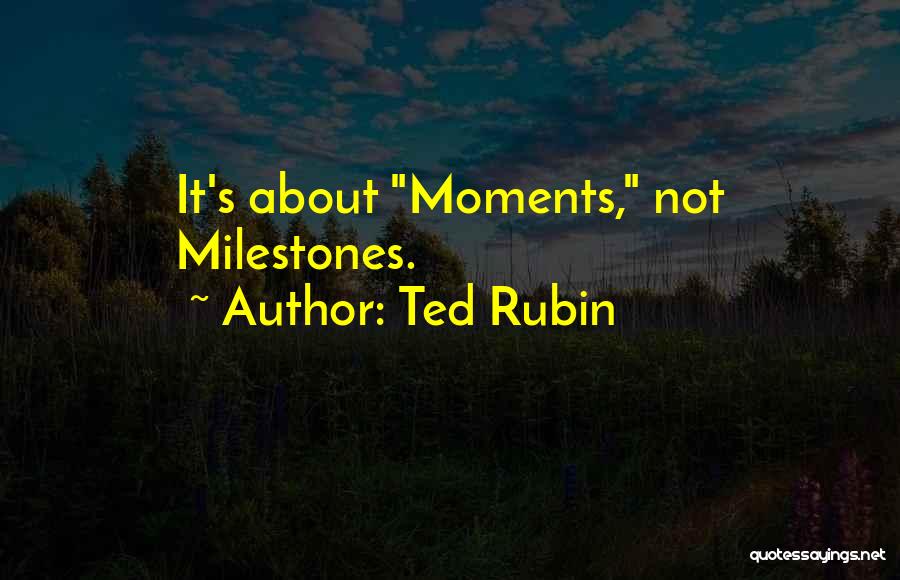 About Friendship Quotes By Ted Rubin