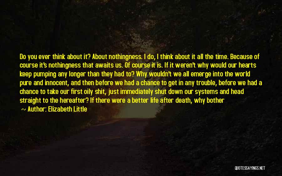 About Life And Death Quotes By Elizabeth Little