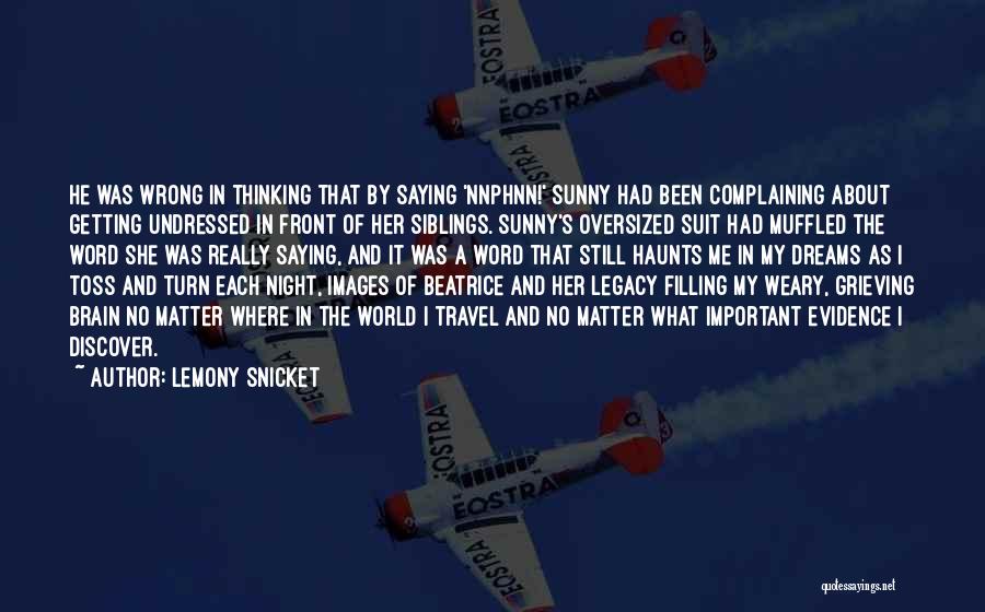 About Me Travel Quotes By Lemony Snicket