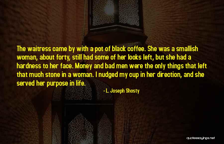 About My Life Quotes By L. Joseph Shosty