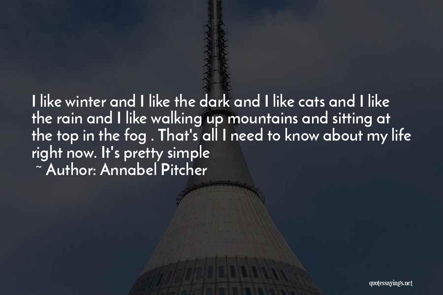 About My Smile Quotes By Annabel Pitcher