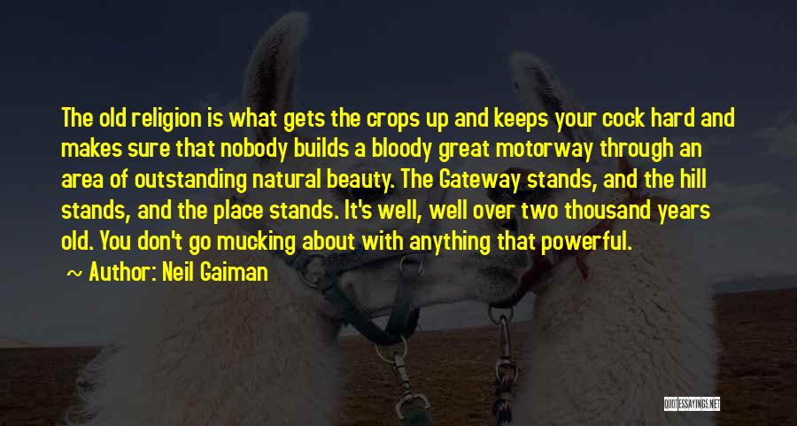 About Natural Beauty Quotes By Neil Gaiman About Natural Beauty Quotes By Neil Gaiman