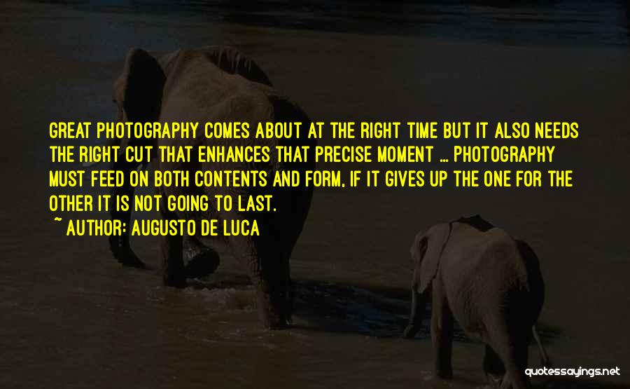 About Not Giving Up Quotes By Augusto De Luca