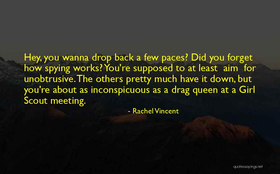 About Pretty Girl Quotes By Rachel Vincent