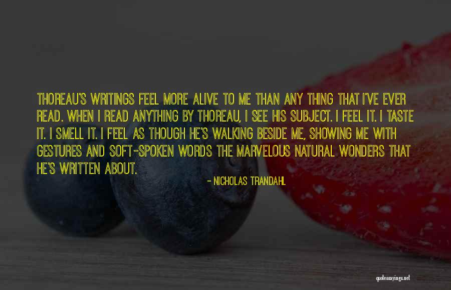 About Quotes By Nicholas Trandahl