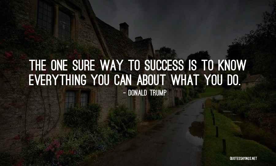 About Success Quotes By Donald Trump