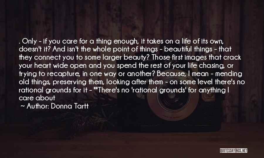 About The Beauty Quotes By Donna Tartt