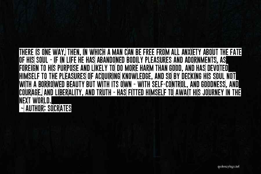 About The Beauty Quotes By Socrates