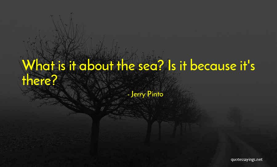 About The Sea Quotes By Jerry Pinto