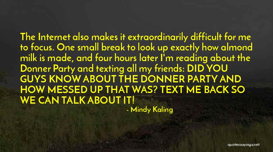 About To Party Quotes By Mindy Kaling