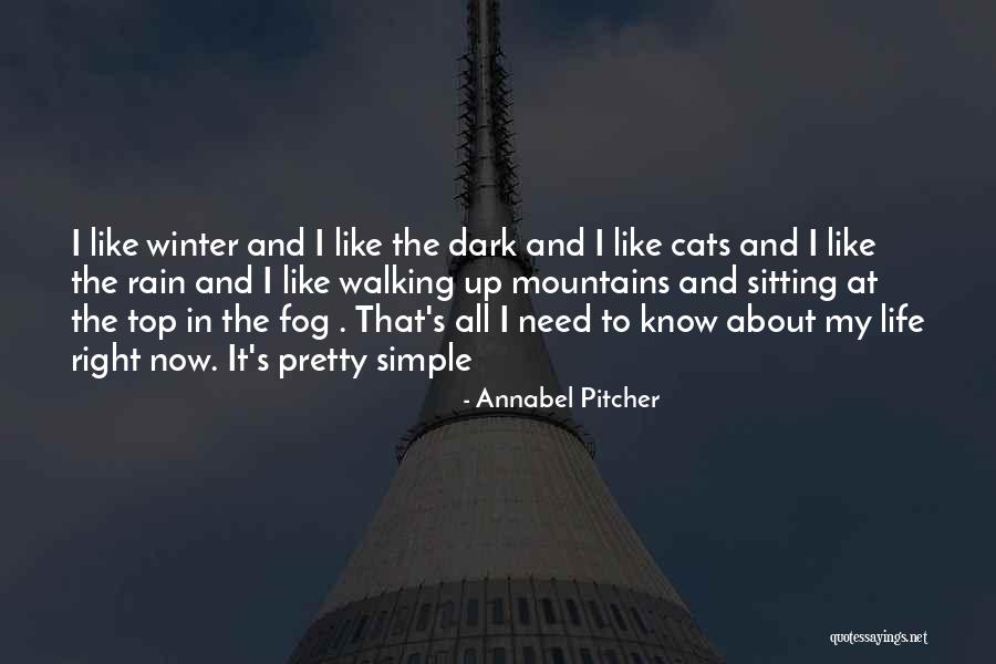 About To Rain Quotes By Annabel Pitcher