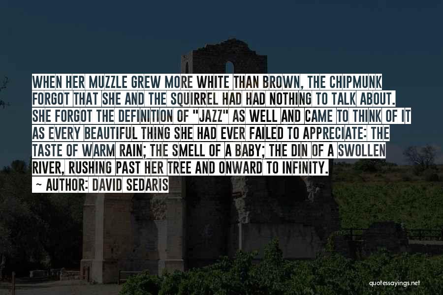 About To Rain Quotes By David Sedaris
