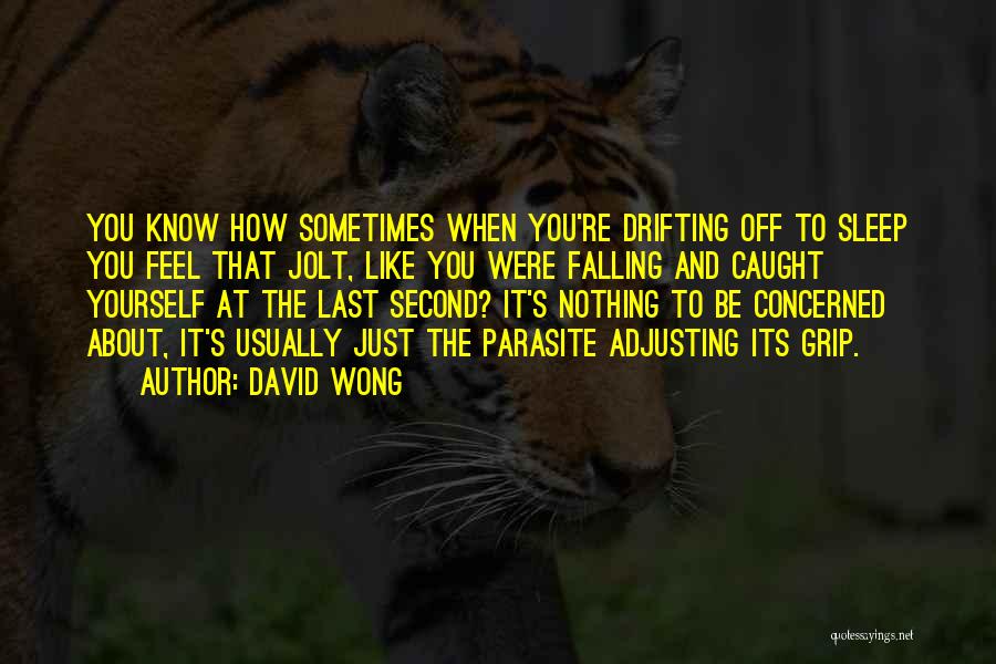About To Sleep Quotes By David Wong