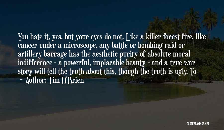 About True Beauty Quotes By Tim O'Brien