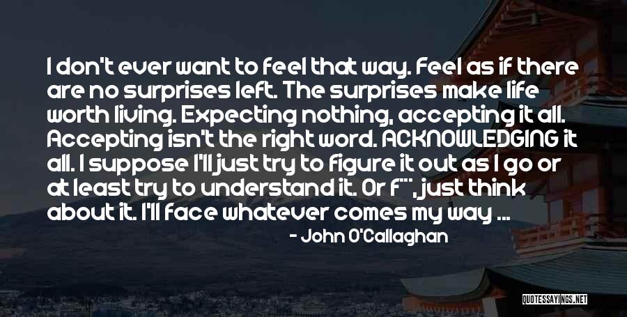 About True Love Quotes By John O'Callaghan