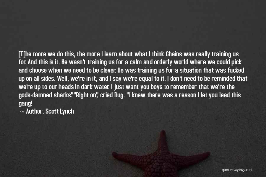 About Us Quotes By Scott Lynch