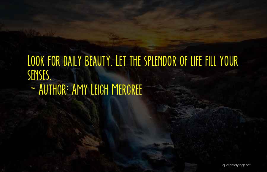 About Your Beauty Quotes By Amy Leigh Mercree