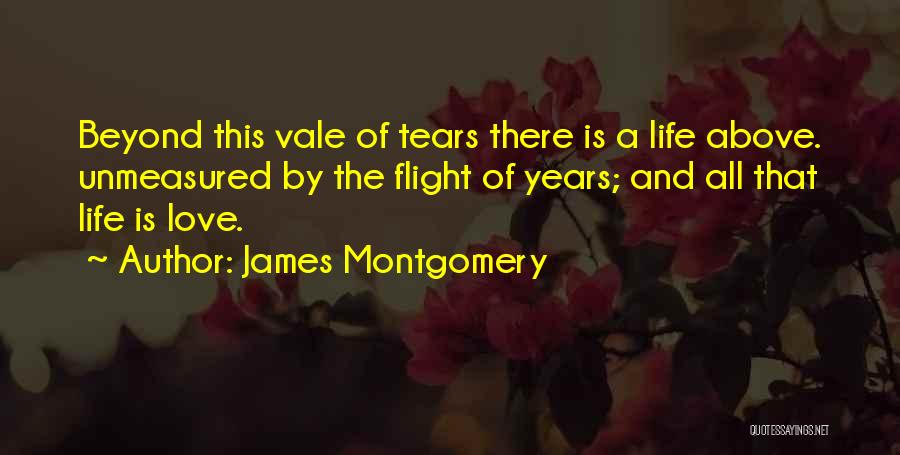 Above And Beyond Love Quotes By James Montgomery
