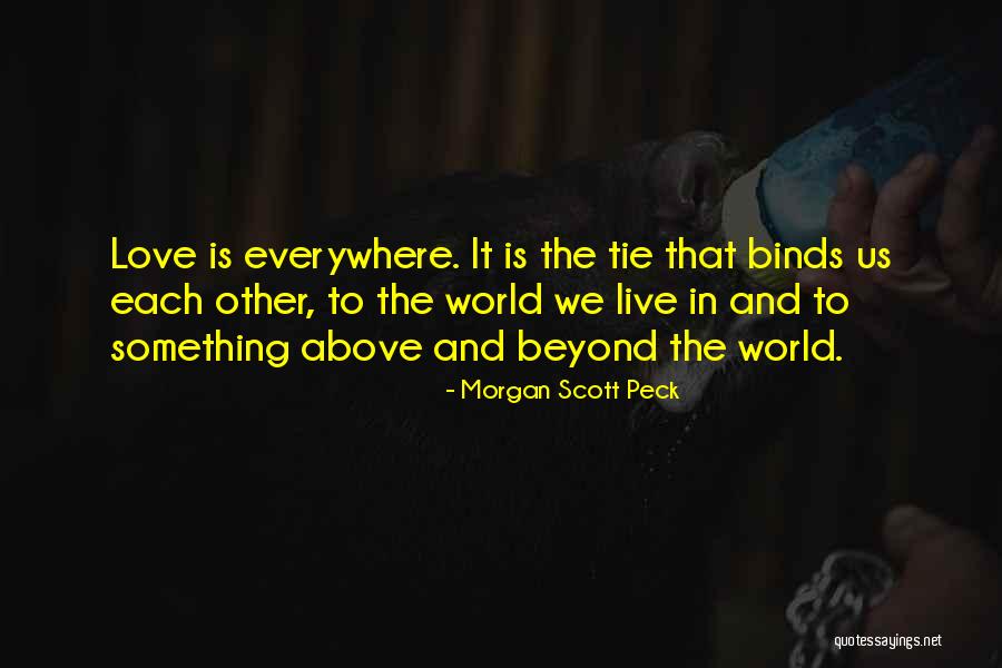 Above And Beyond Love Quotes By Morgan Scott Peck