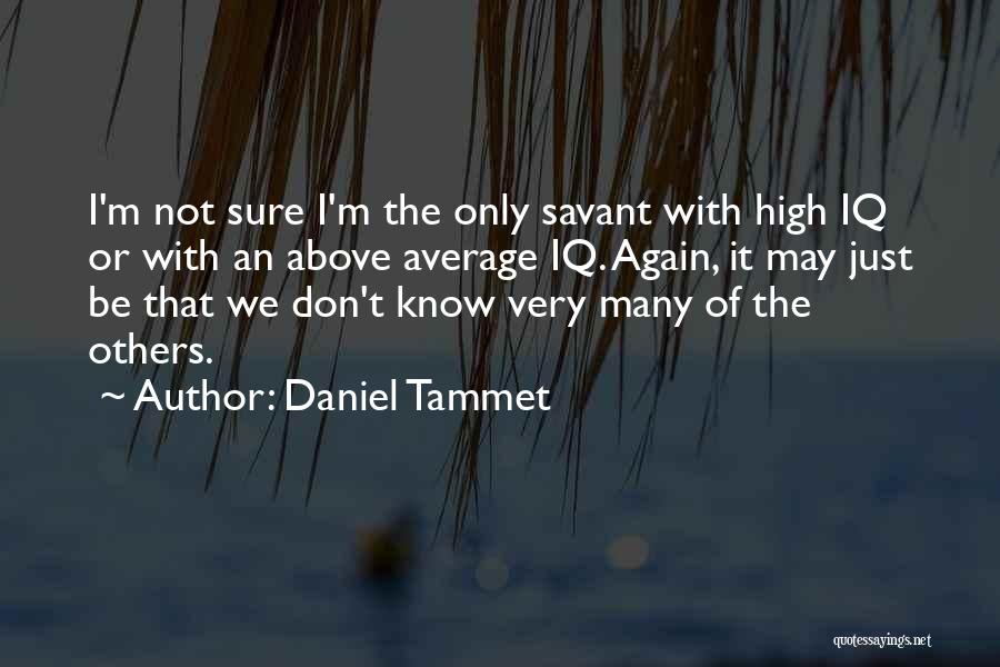 Above Average Quotes By Daniel Tammet