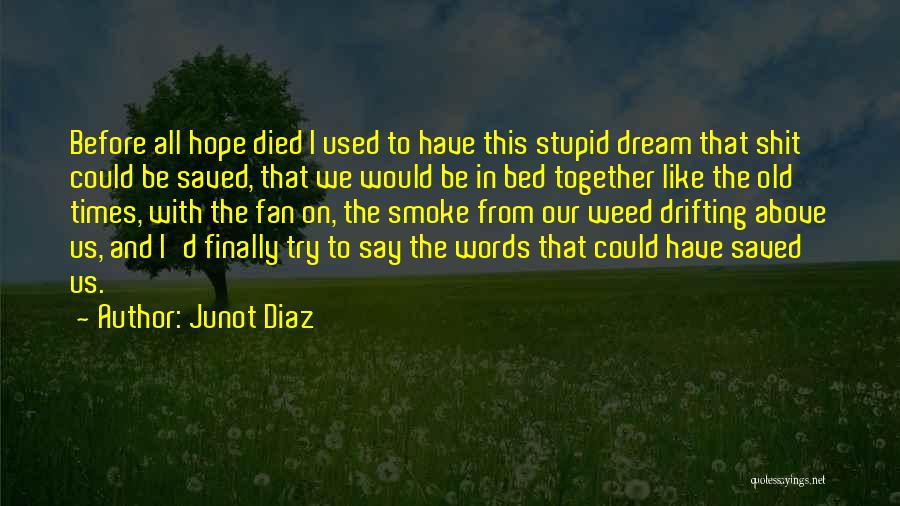 Above The Bed Quotes By Junot Diaz