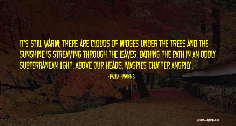 Above The Chatter Quotes By Paula Hawkins Above The Chatter Quotes By Paula Hawkins