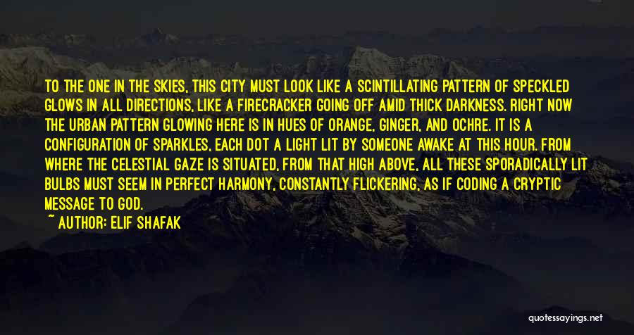 Above The City Quotes By Elif Shafak