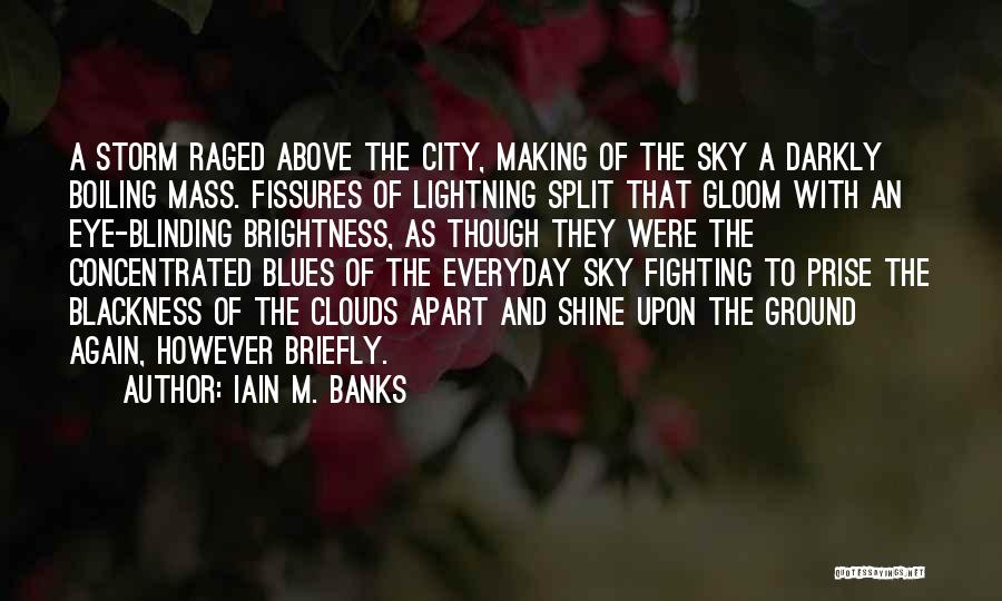 Above The City Quotes By Iain M. Banks