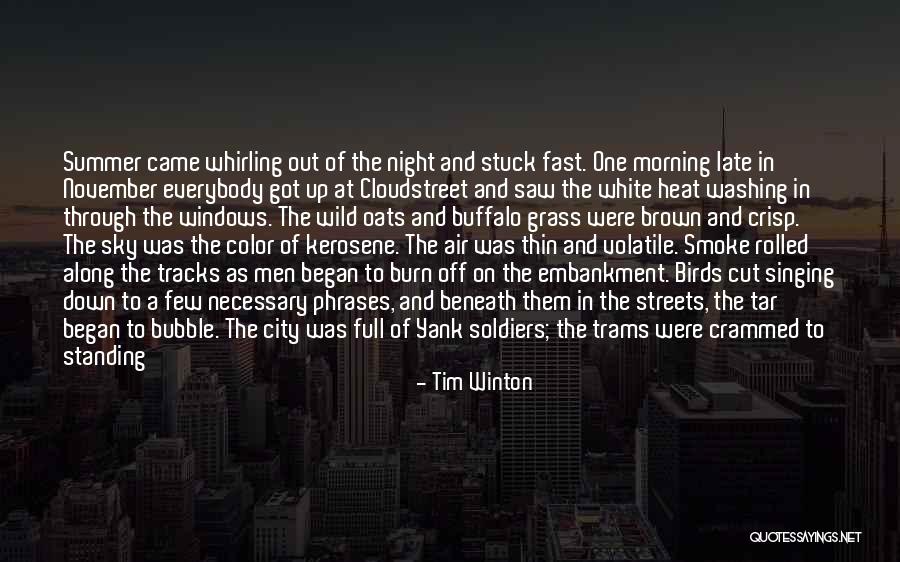 Above The City Quotes By Tim Winton