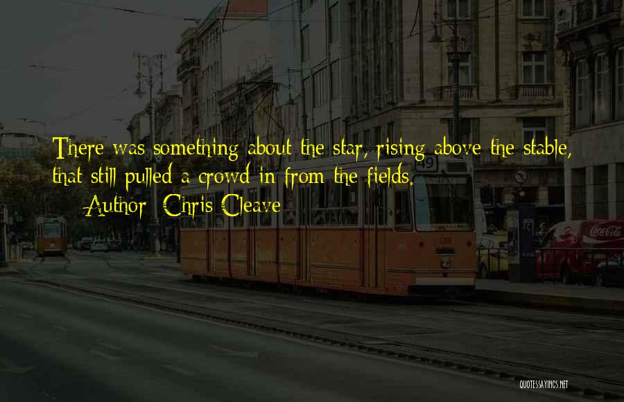 Above The Crowd Quotes By Chris Cleave