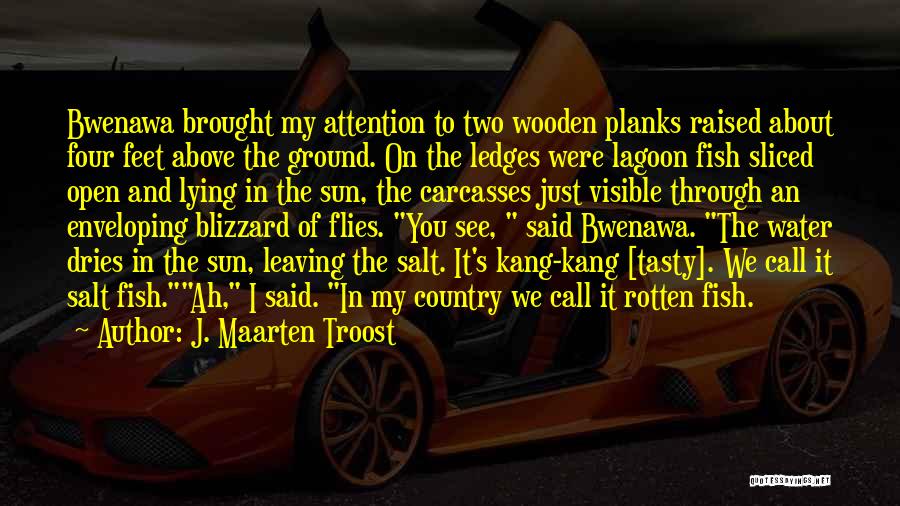 Above The Ground Quotes By J. Maarten Troost