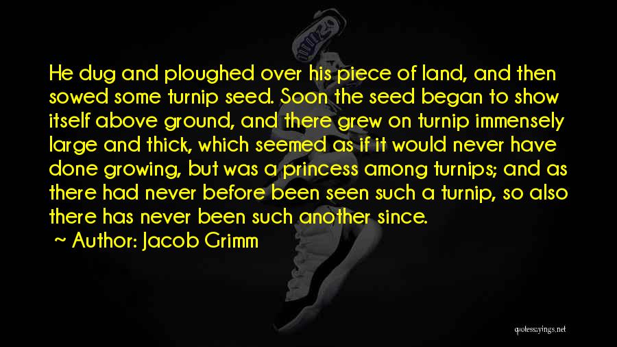 Above The Ground Quotes By Jacob Grimm