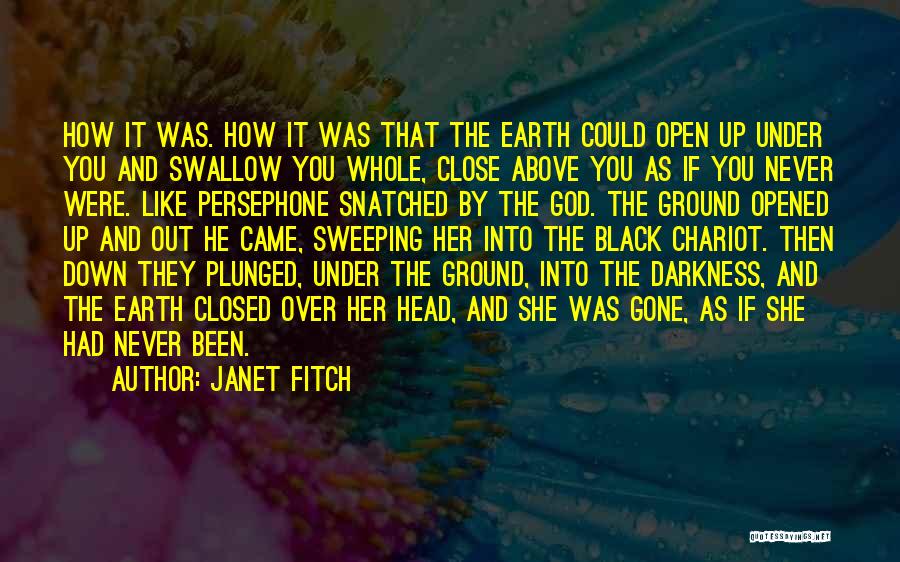 Above The Ground Quotes By Janet Fitch