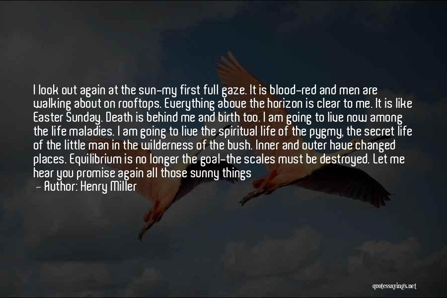 Above The Horizon Quotes By Henry Miller