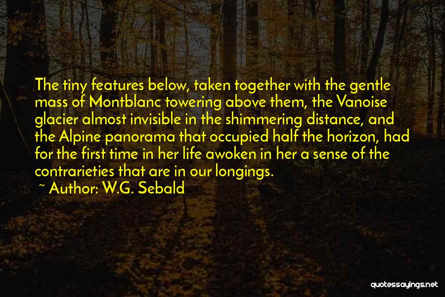 Above The Horizon Quotes By W.G. Sebald