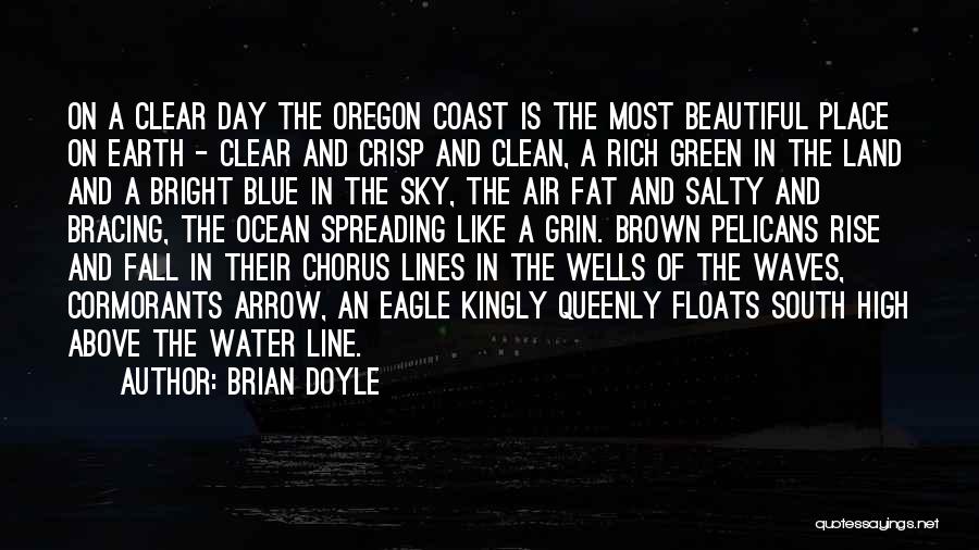 Above The Line Quotes By Brian Doyle