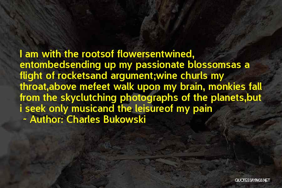 Above The Sky Quotes By Charles Bukowski