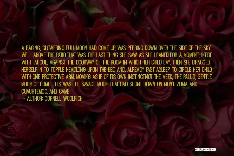 Above The Sky Quotes By Cornell Woolrich