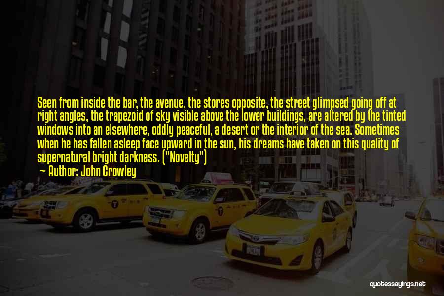 Above The Sky Quotes By John Crowley