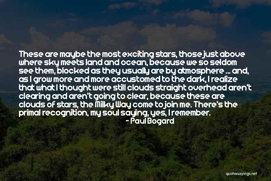 Above The Sky Quotes By Paul Bogard