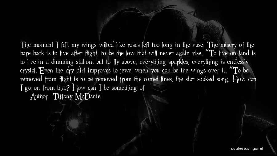 Above The Sky Quotes By Tiffany McDaniel