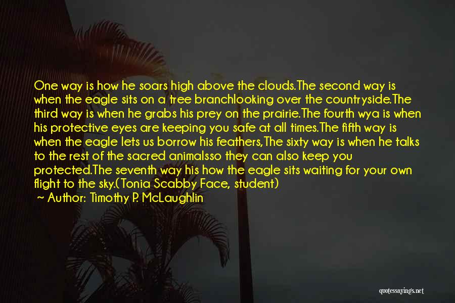 Above The Sky Quotes By Timothy P. McLaughlin