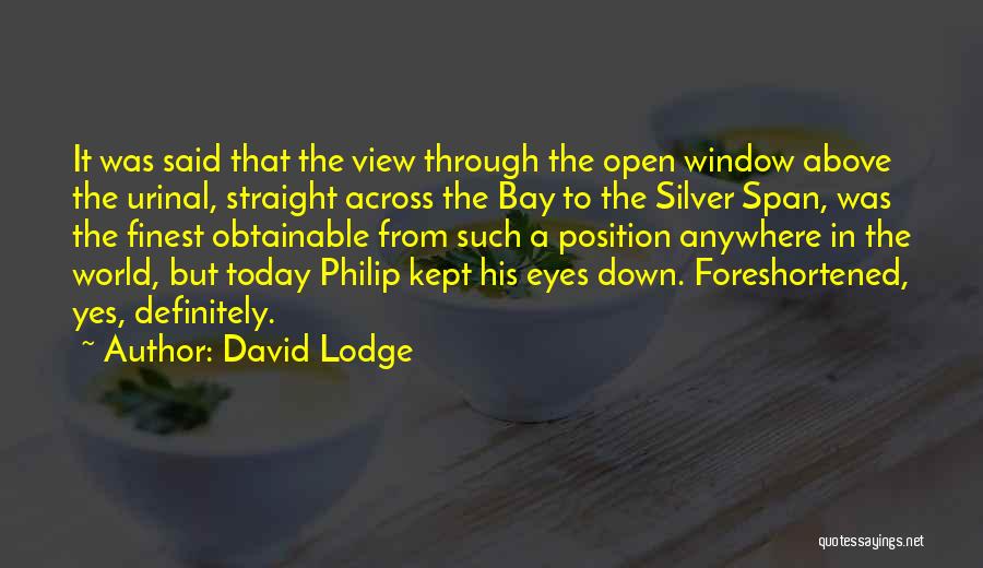Above The World Quotes By David Lodge