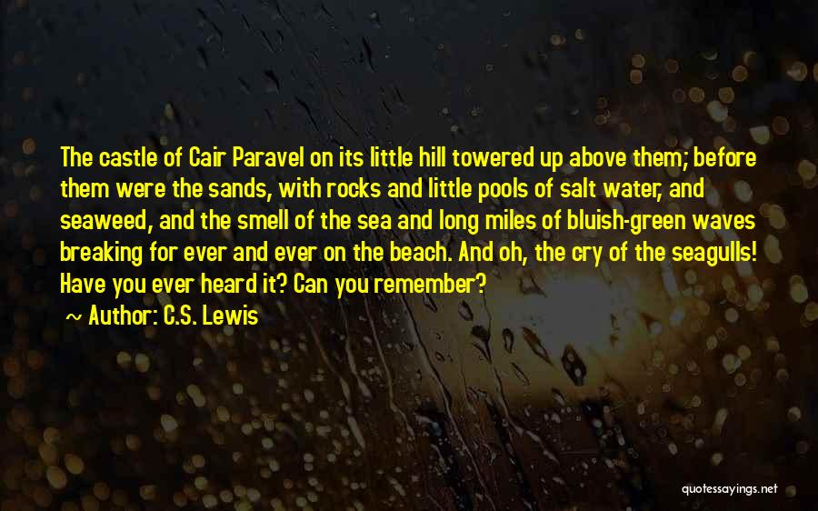 Above Us The Waves Quotes By C.S. Lewis
