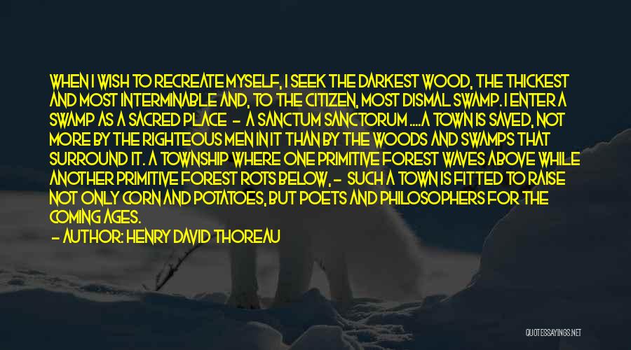 Above Us The Waves Quotes By Henry David Thoreau