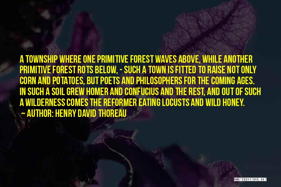 Above Us The Waves Quotes By Henry David Thoreau