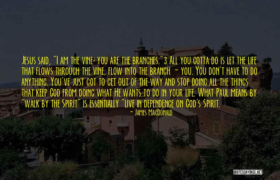 Abovedecks Quotes By James MacDonald Abovedecks Quotes By James MacDonald